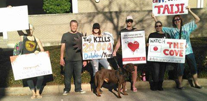 Houston demo
